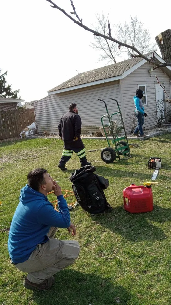 Expert outdoor landscaping in Chicago, IL by Hernandez Professional Tree Service