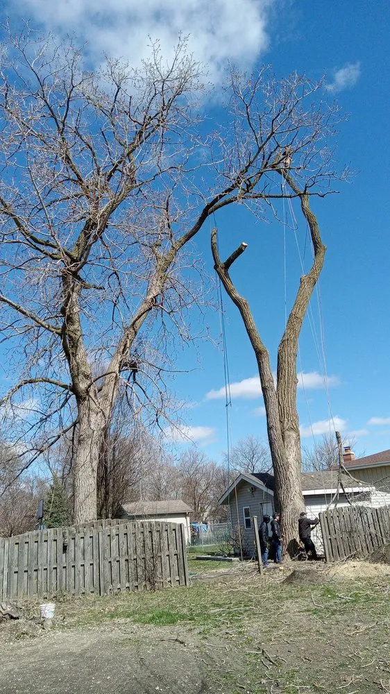 Trusted residential landscaping for year-round maintenance in Chicago, IL by Hernandez Professional Tree Service