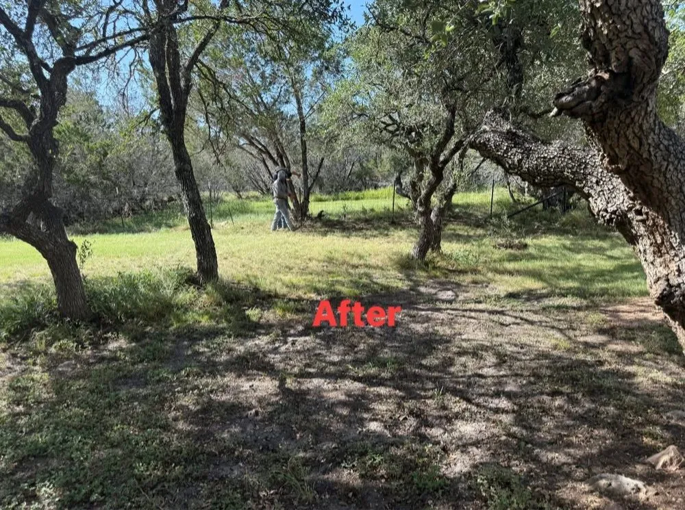 Affordable yard cleanup service experts serving Burnet, TX - Hernandez services