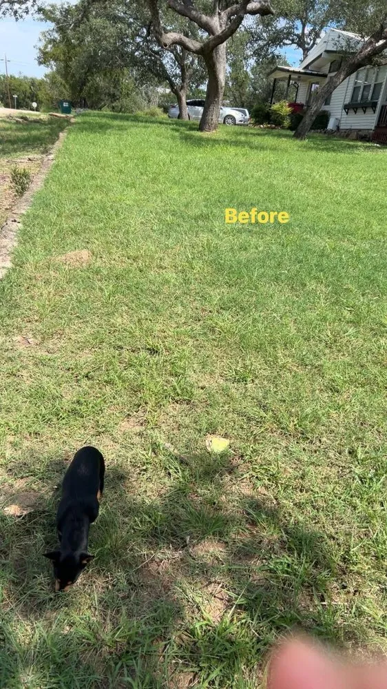 Top-rated landscape design in Burnet, TX by Hernandez services