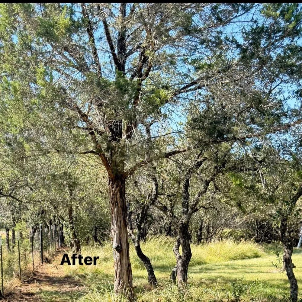 Professional landscape design experts serving Burnet, TX - Hernandez services