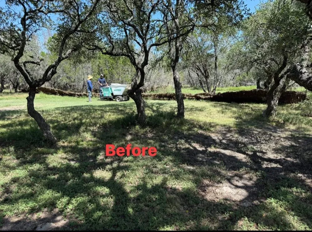 Local landscape design near you across Burnet, TX - Hernandez services