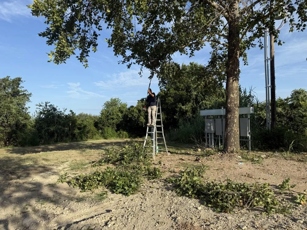 Professional lawn mowing service with custom design in Burnet, TX by Hernandez services