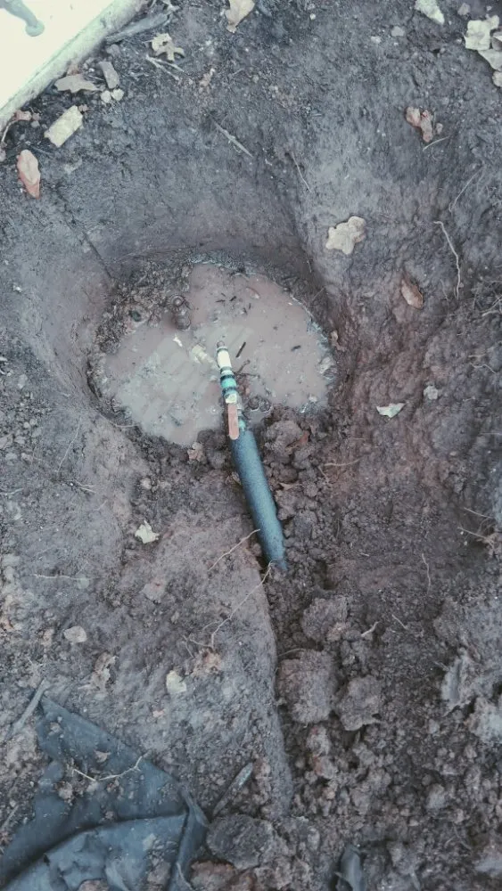 Top-rated yard maintenance experts serving Fort Worth, TX - Hernandez The Handyman