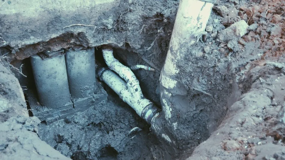 Affordable lawn care service for year-round maintenance across Fort Worth, TX - Hernandez The Handyman