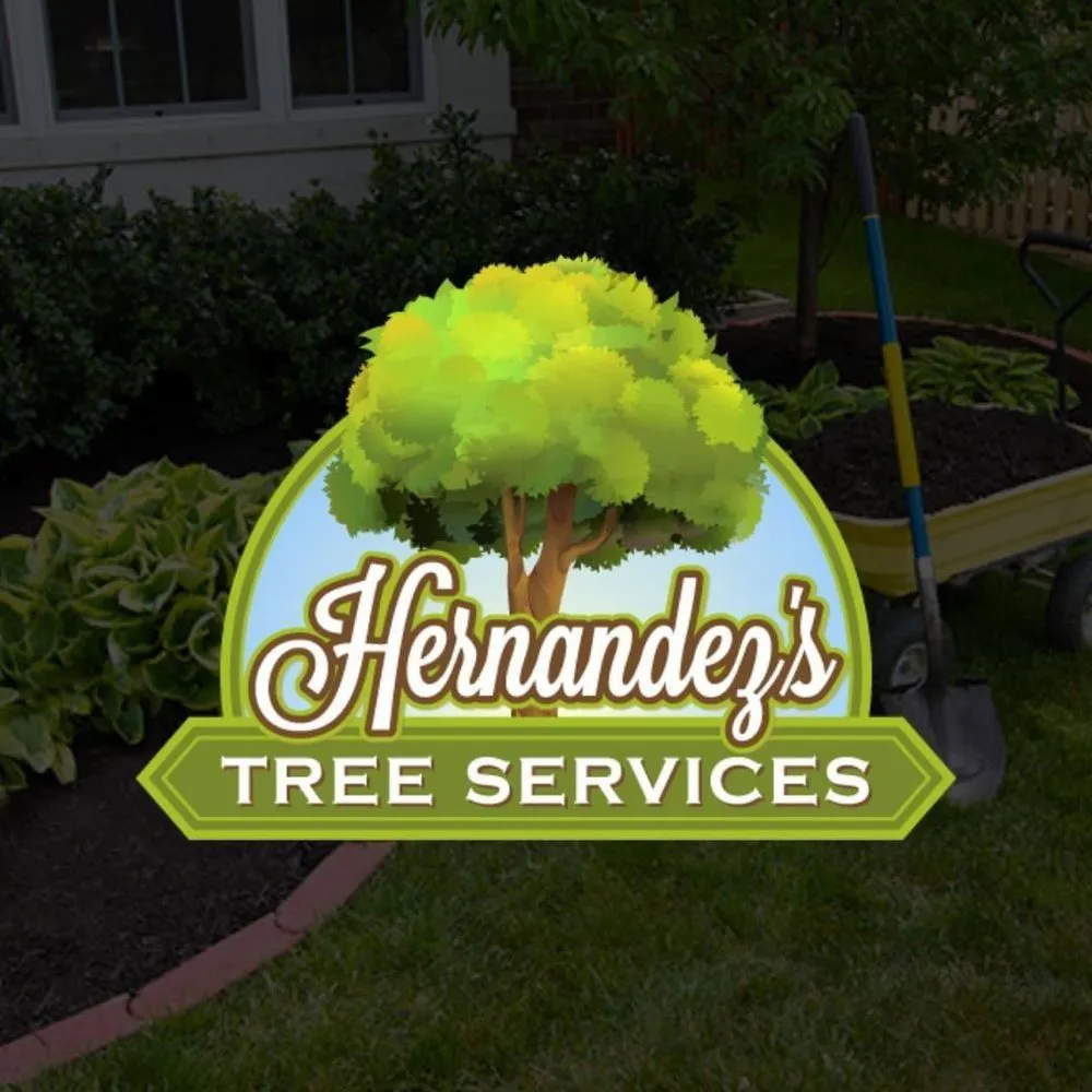Local yard maintenance for homes across Carrollton, GA - Hernandez Tree & Landscaping Service