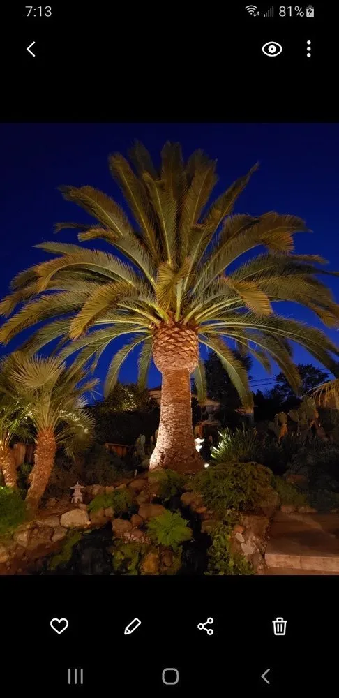 Expert garden landscaping for beautiful yards across Menlo Park, CA - Hernandez Tree and Garden Service