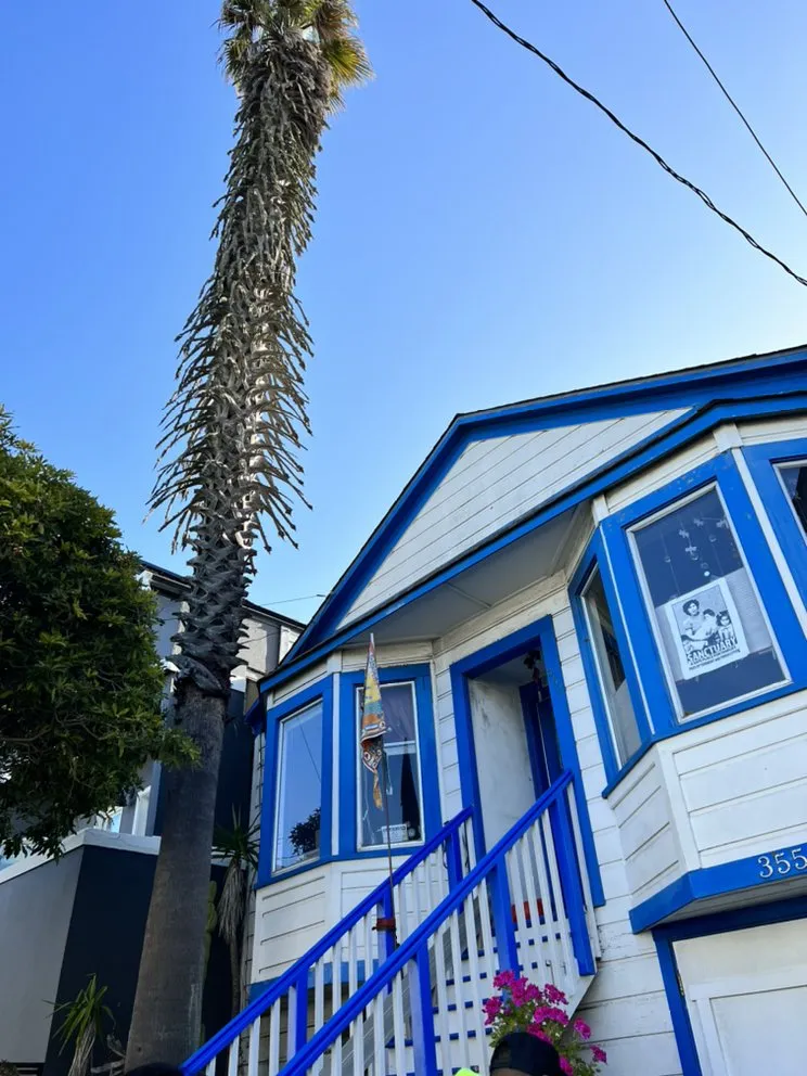 Affordable lawn care service in Menlo Park, CA by Hernandez Tree and Garden Service