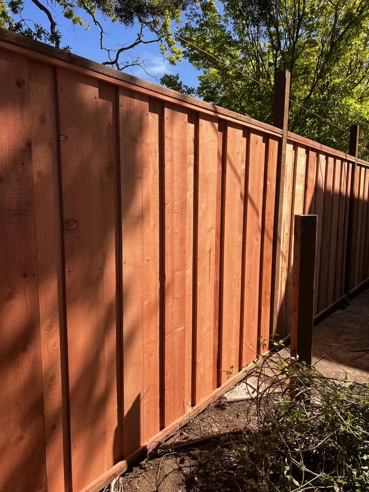 Expert lawn care service for residential properties in Menlo Park, CA by Hernandez Tree and Garden Service