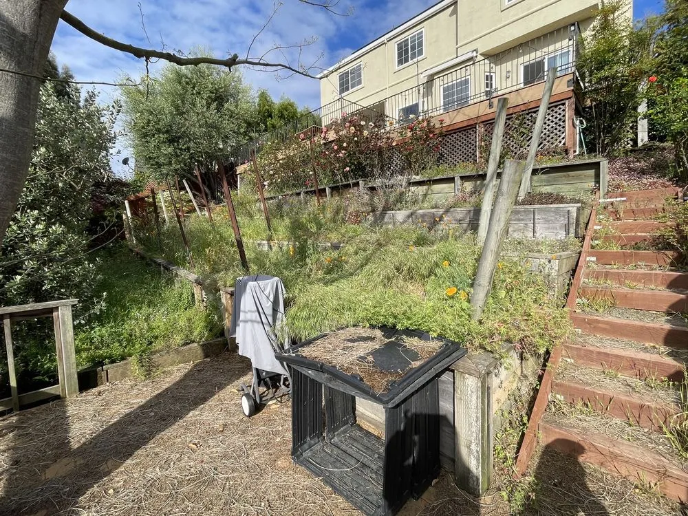 Expert yard maintenance in Menlo Park, CA by Hernandez Tree and Garden Service