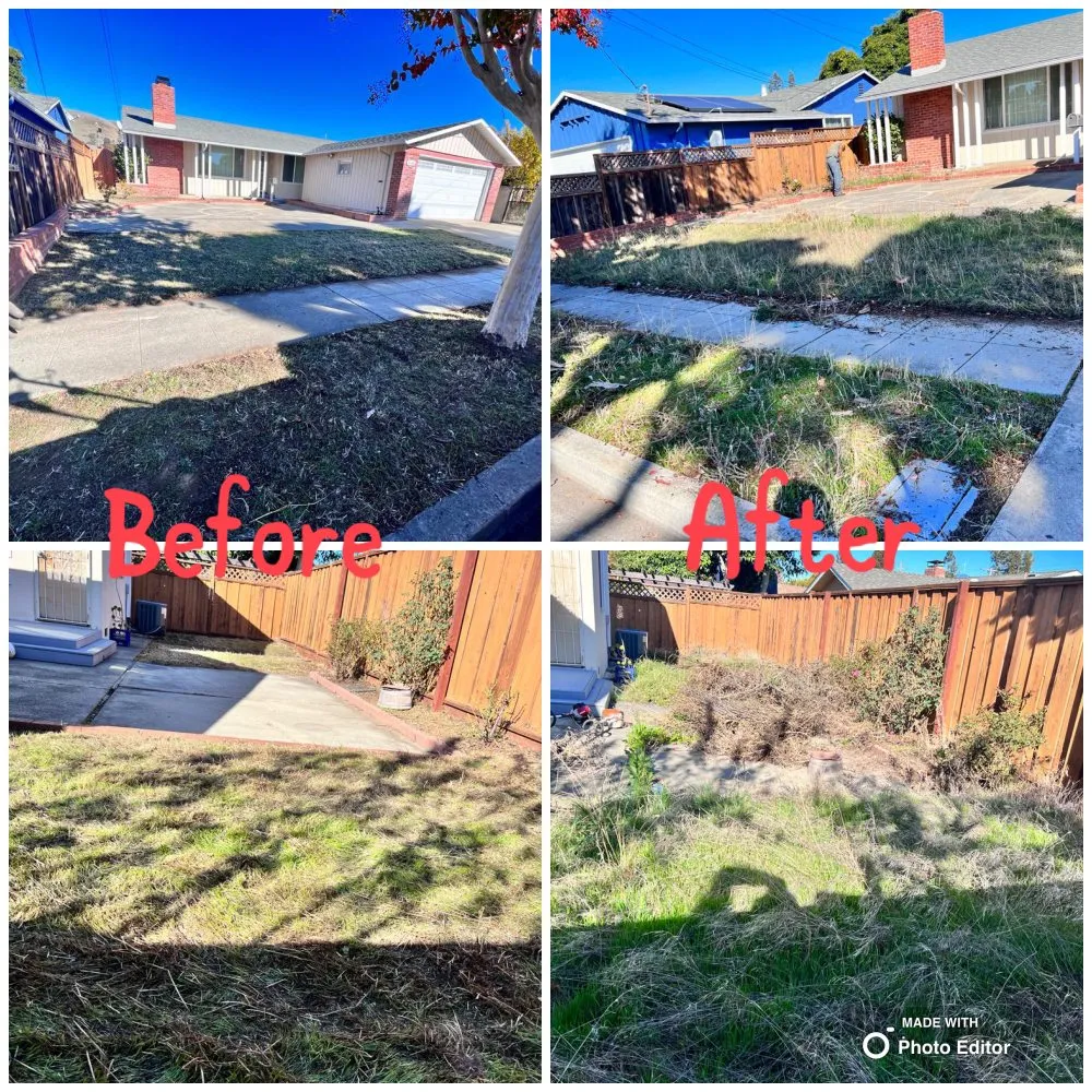 Professional lawn mowing service for residential properties across Menlo Park, CA - Hernandez Tree and Garden Service