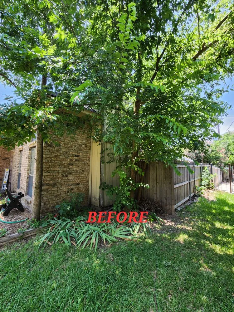 Professional garden landscaping for homes across Arlington, TX - Hernandez Tree Care