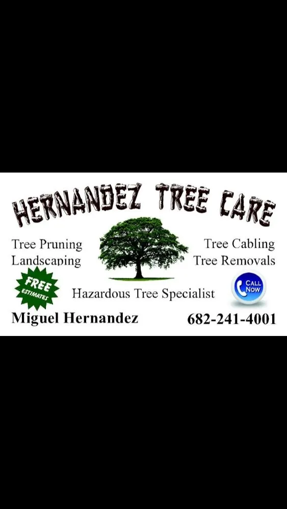 Affordable yard maintenance in Arlington, TX - Hernandez Tree Care