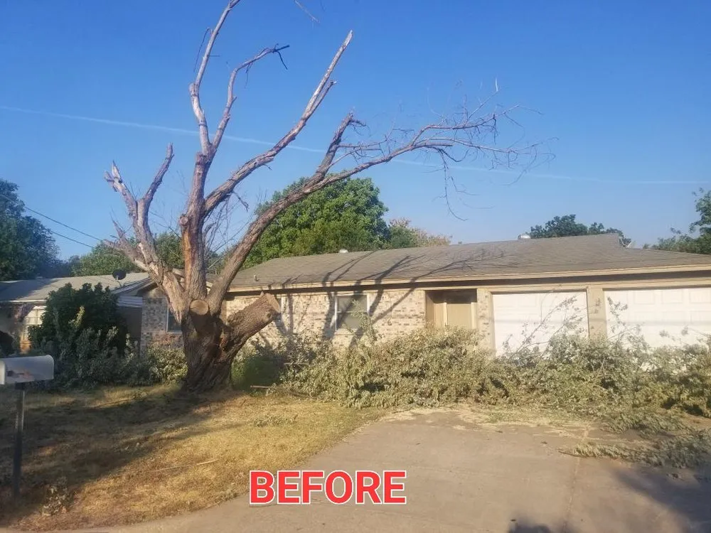 Professional landscaping services in Arlington, TX - Hernandez Tree Care
