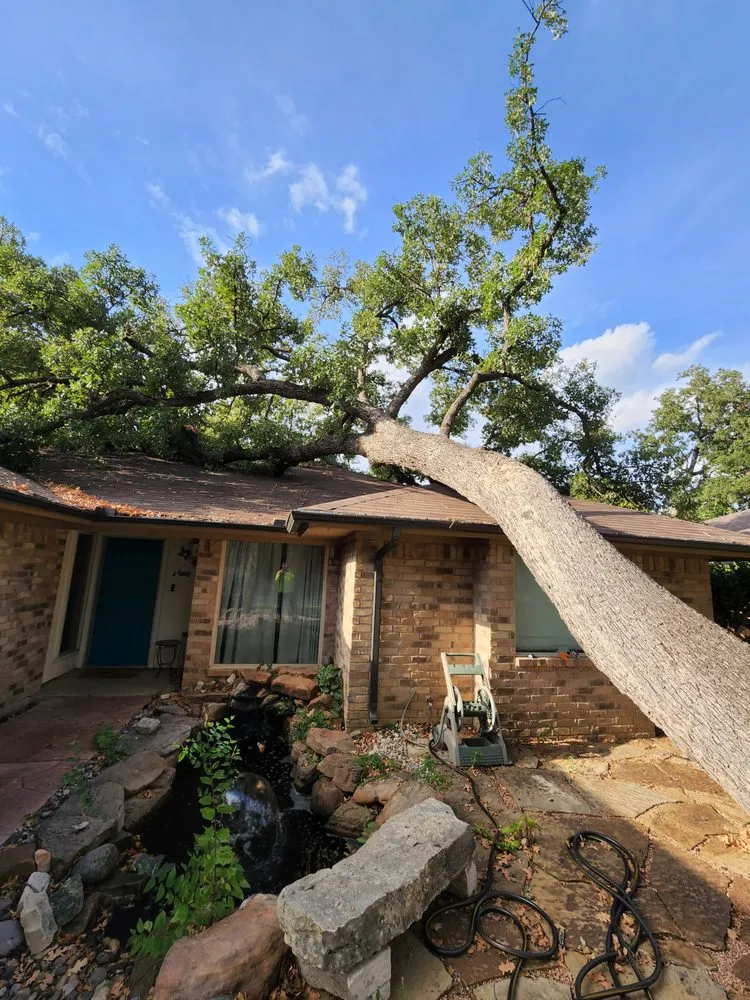 Professional lawn mowing service in Arlington, TX - Hernandez Tree Care