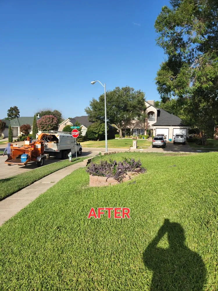 Reliable lawn mowing service for year-round maintenance in Arlington, TX by Hernandez Tree Care