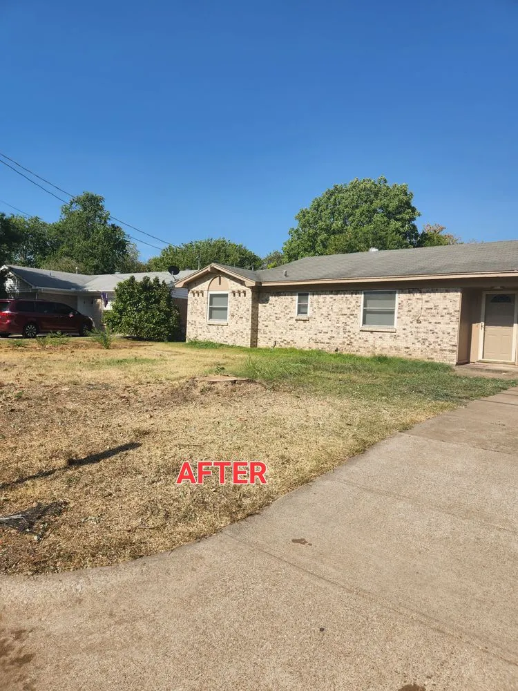 Expert outdoor landscaping for residential properties across Arlington, TX - Hernandez Tree Care