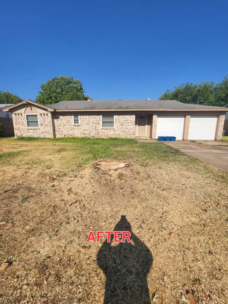 Local landscape design for beautiful yards across Arlington, TX - Hernandez Tree Care