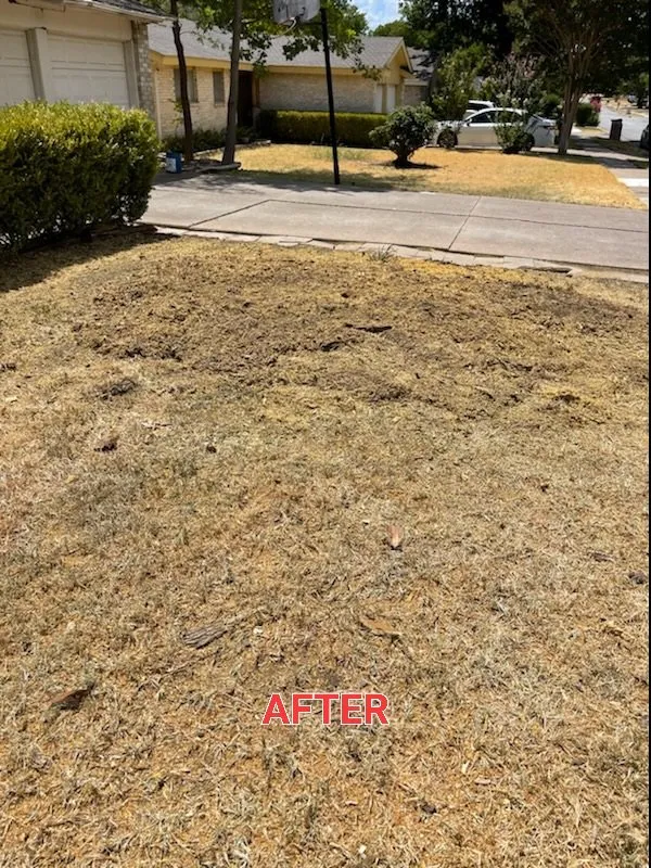 Local lawn care service for residential properties across Arlington, TX - Hernandez Tree Care