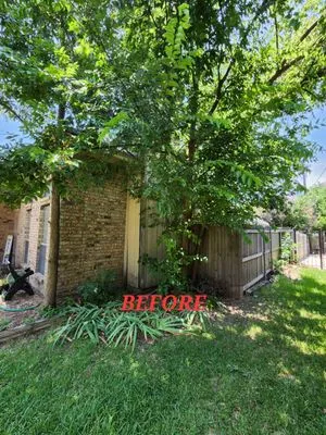 Hernandez Tree Care Logo