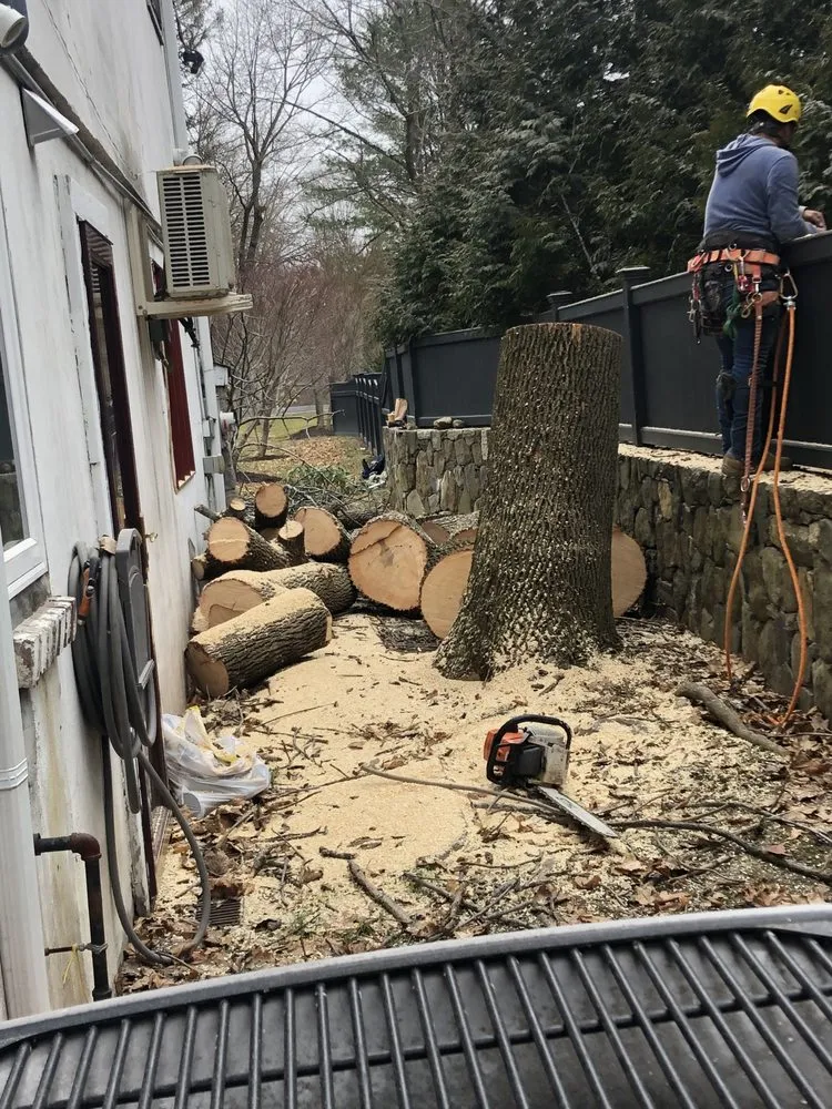 Top-rated outdoor landscaping with custom design across Bedford Hills, NY - Hernandez Tree Service and Landscape Services