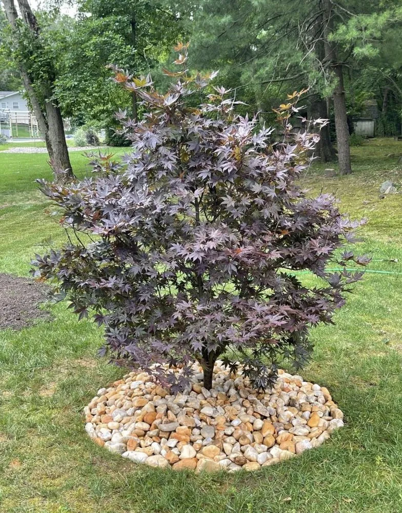 Custom garden landscaping experts serving Bedford Hills, NY - Hernandez Tree Service and Landscape Services