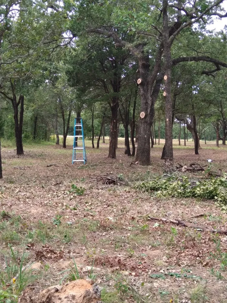 Custom outdoor landscaping for outdoor upgrades in Fort Worth, TX by Hernandez Tree Service And Landscaping