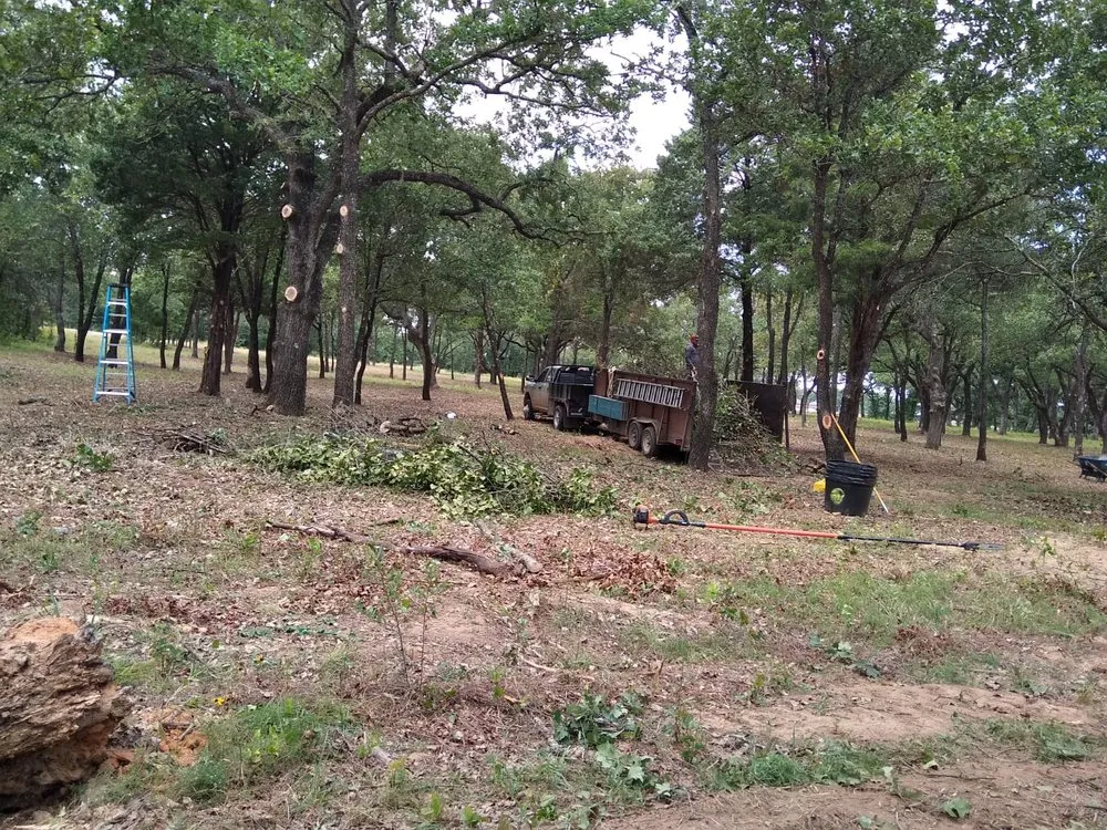 Custom landscaping services for beautiful yards across Fort Worth, TX - Hernandez Tree Service And Landscaping