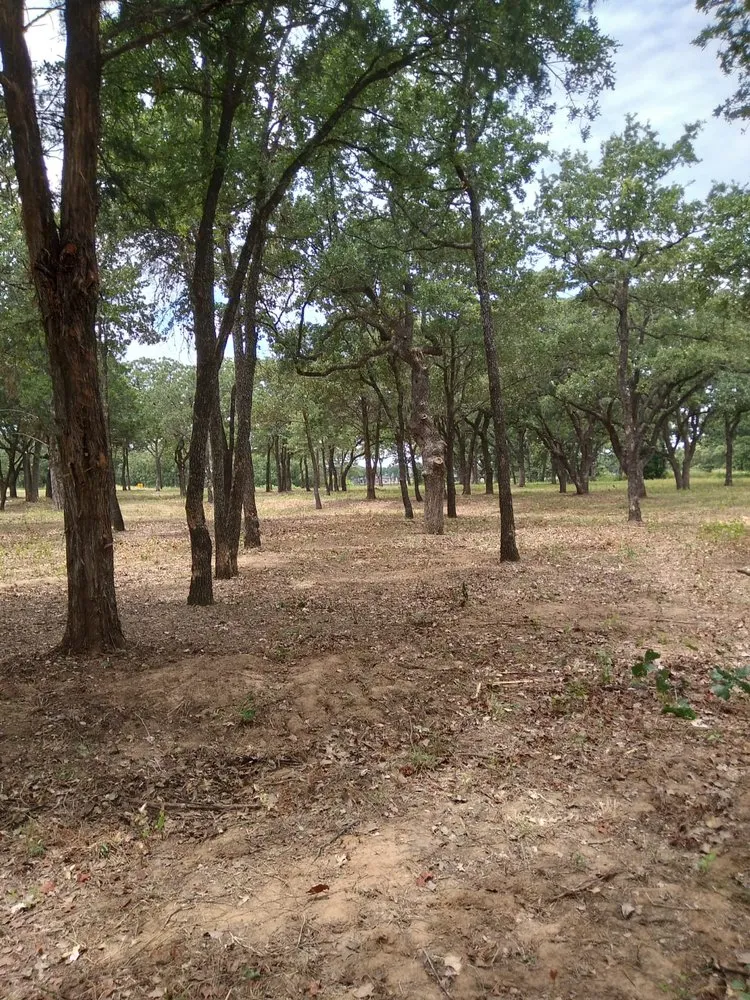 Reliable landscaping services in Fort Worth, TX - Hernandez Tree Service And Landscaping