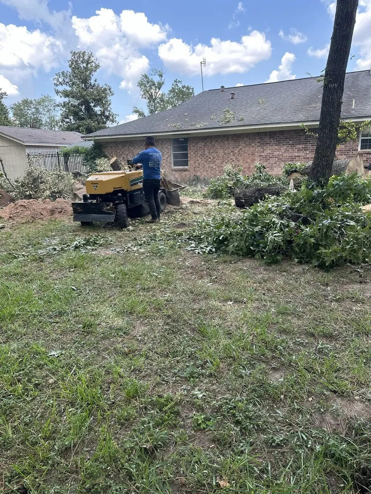 Custom residential landscaping experts serving Conroe, TX - Hernandez Tree Service