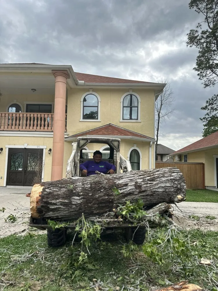 Custom residential landscaping experts serving Conroe, TX - Hernandez Tree Service