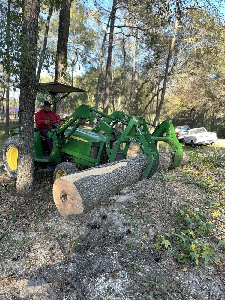 Affordable landscape design for homes in Conroe, TX by Hernandez Tree Service