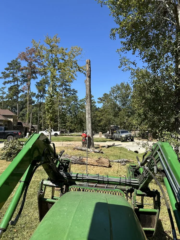Trusted lawn care service for outdoor upgrades in Conroe, TX by Hernandez Tree Service