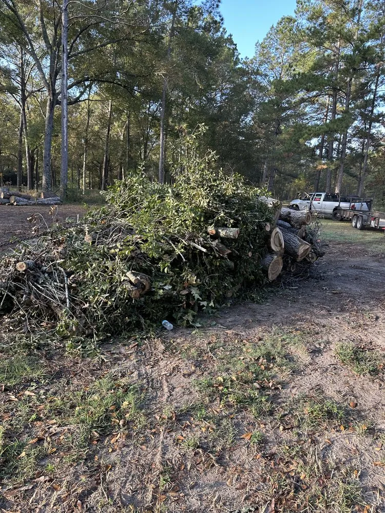 Affordable residential landscaping for homes in Conroe, TX by Hernandez Tree Service