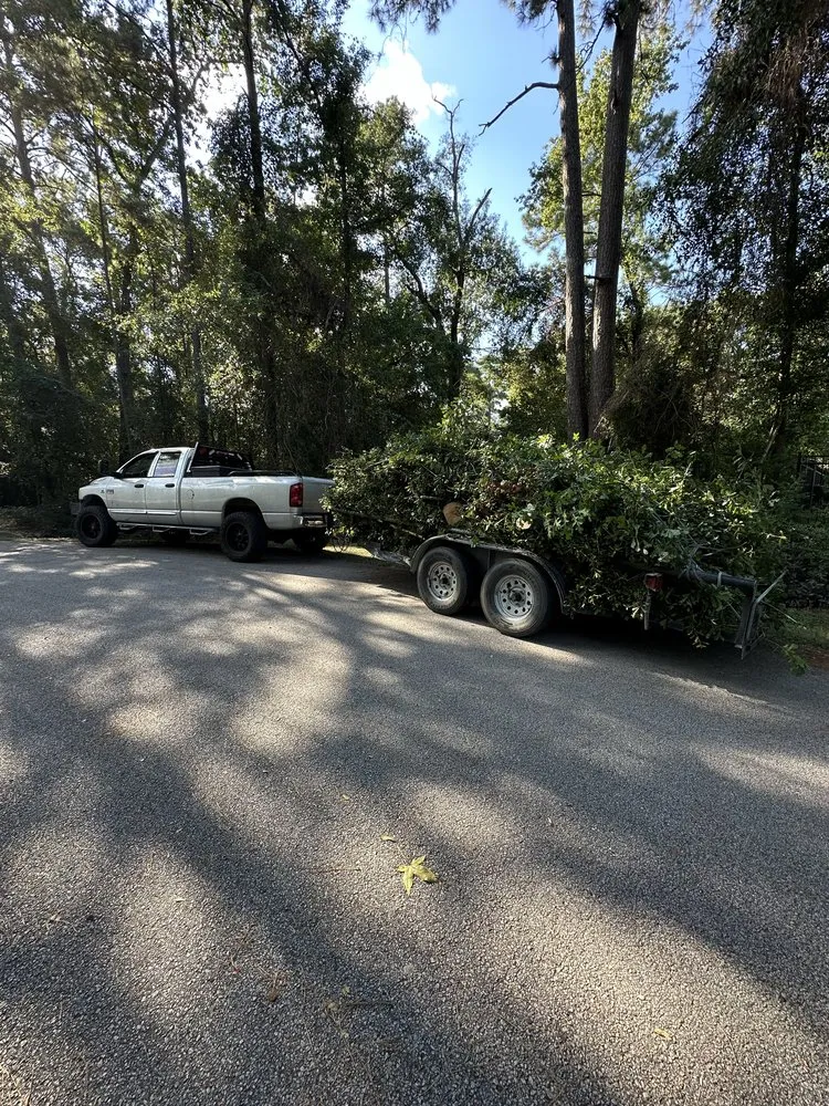 Affordable lawn mowing service for homes in Conroe, TX by Hernandez Tree Service