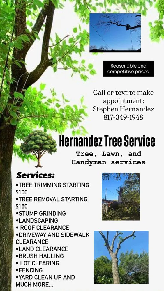 Trusted garden landscaping for outdoor upgrades in Fort Worth, TX by Hernandez Tree Service