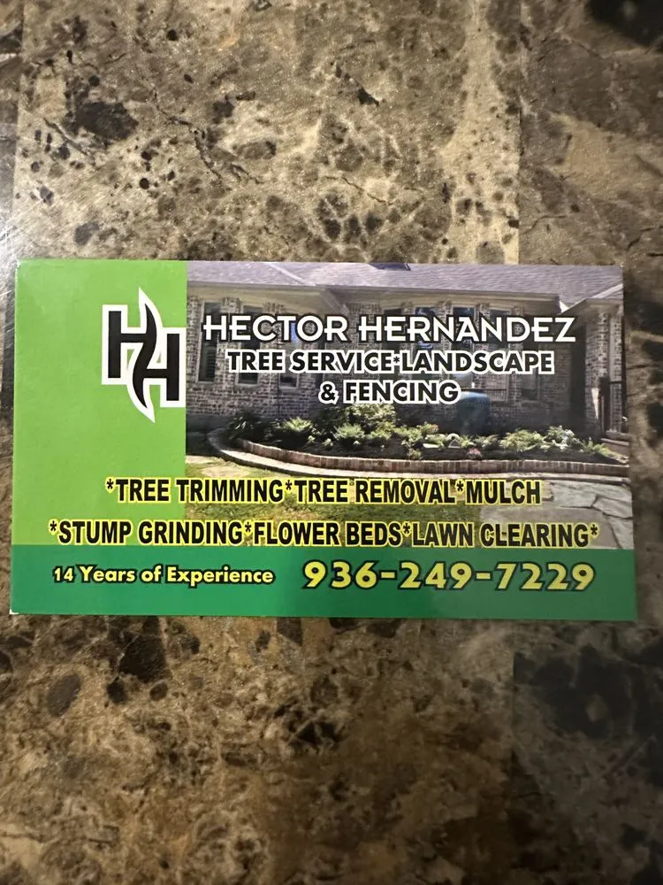 Top-rated outdoor landscaping in Cut and Shoot, TX by Hernandez Tree Service Landscape & Fencing