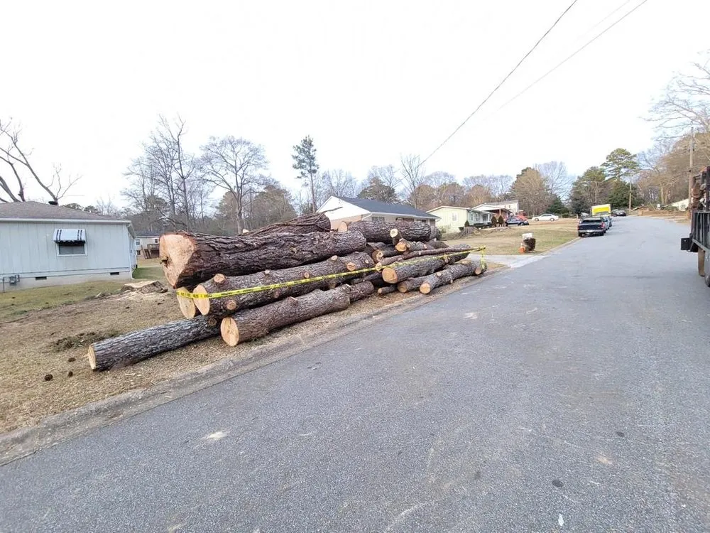 Affordable yard maintenance in Jonesboro, GA by Hernandez Tree Services