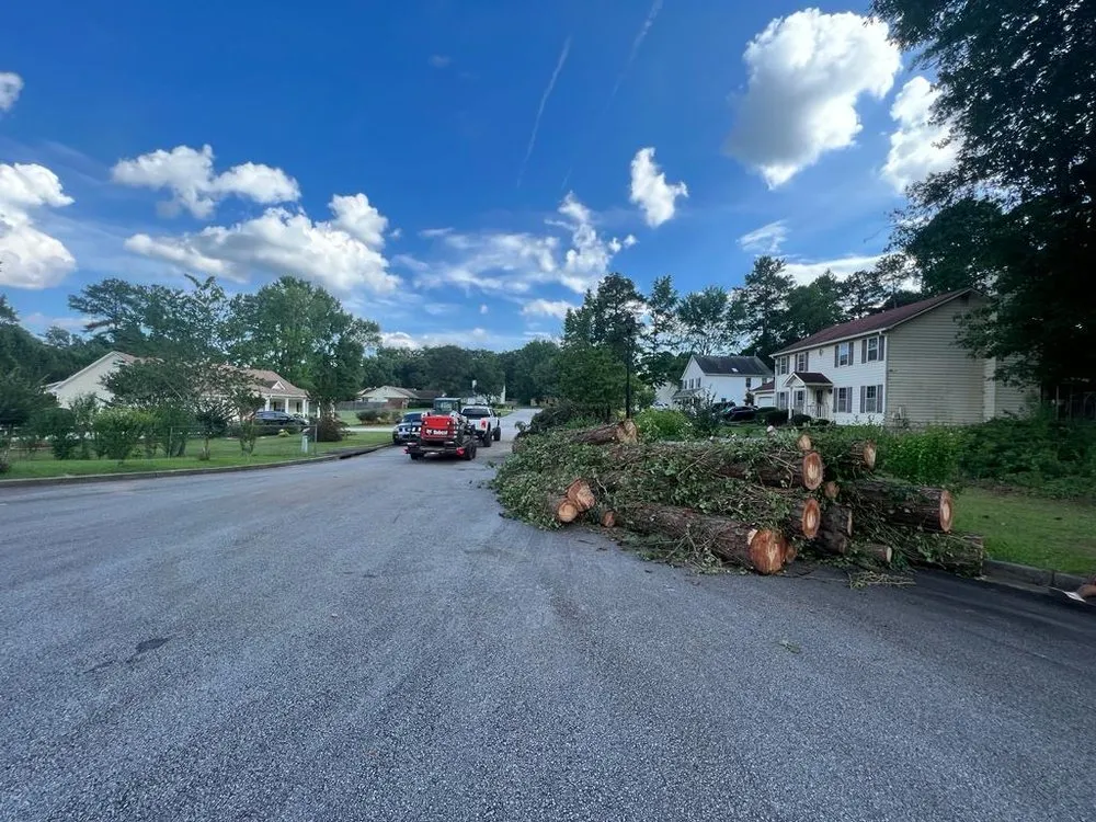 Affordable outdoor landscaping experts serving Jonesboro, GA - Hernandez Tree Services