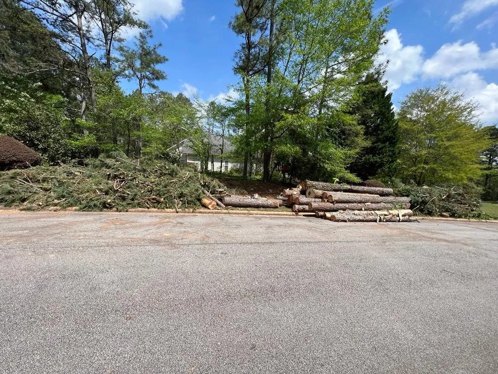 Custom yard cleanup service for beautiful yards in Jonesboro, GA by Hernandez Tree Services