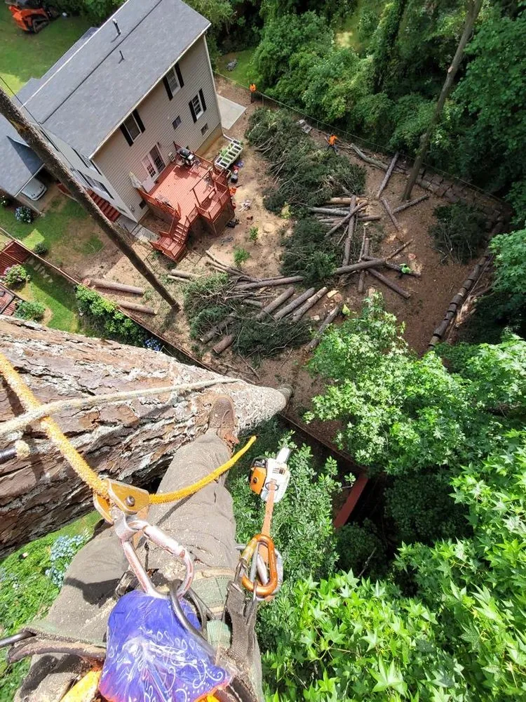 Affordable landscape installation in Jonesboro, GA - Hernandez Tree Services