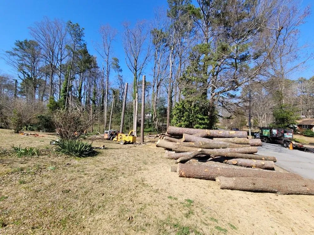 Professional outdoor landscaping in Jonesboro, GA - Hernandez Tree Services