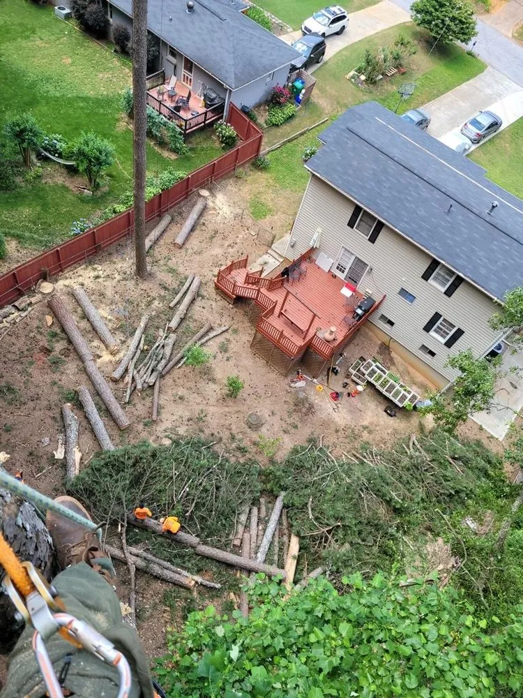 Affordable outdoor landscaping experts serving Jonesboro, GA - Hernandez Tree Services