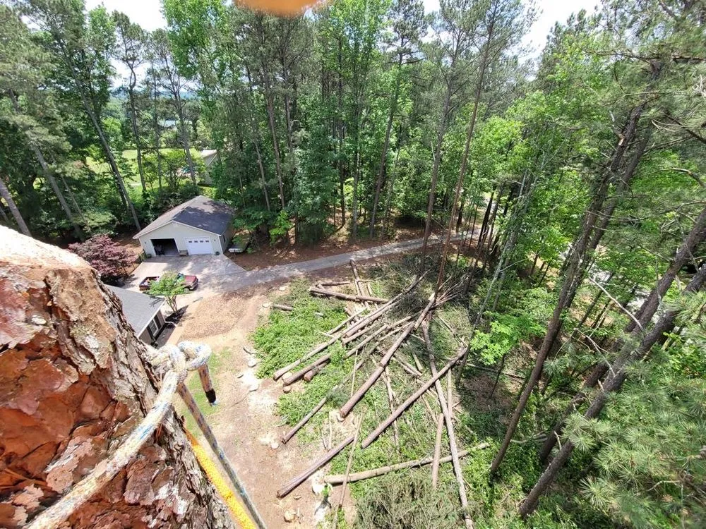 Top-rated landscape design for outdoor upgrades in Jonesboro, GA by Hernandez Tree Services