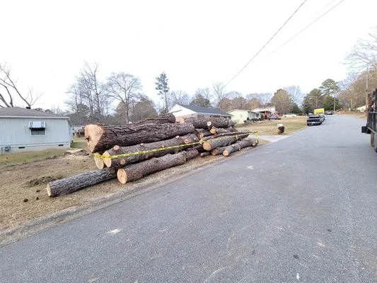 Hernandez Tree Services Logo