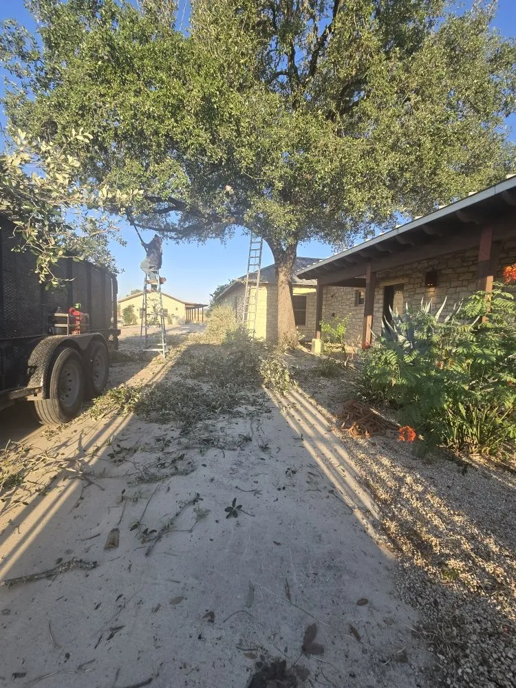 Expert lawn care service for year-round maintenance in San Antonio, TX by Hernandez Tree Services