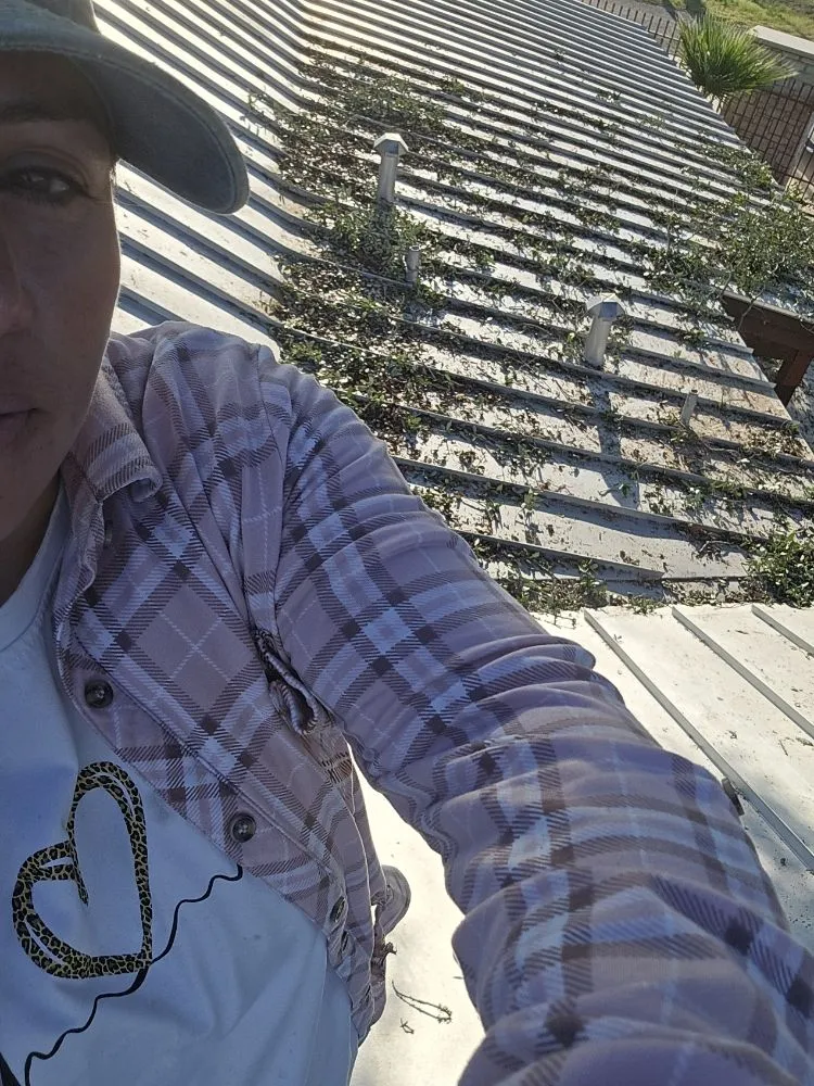 Expert landscape installation in San Antonio, TX by Hernandez Tree Services