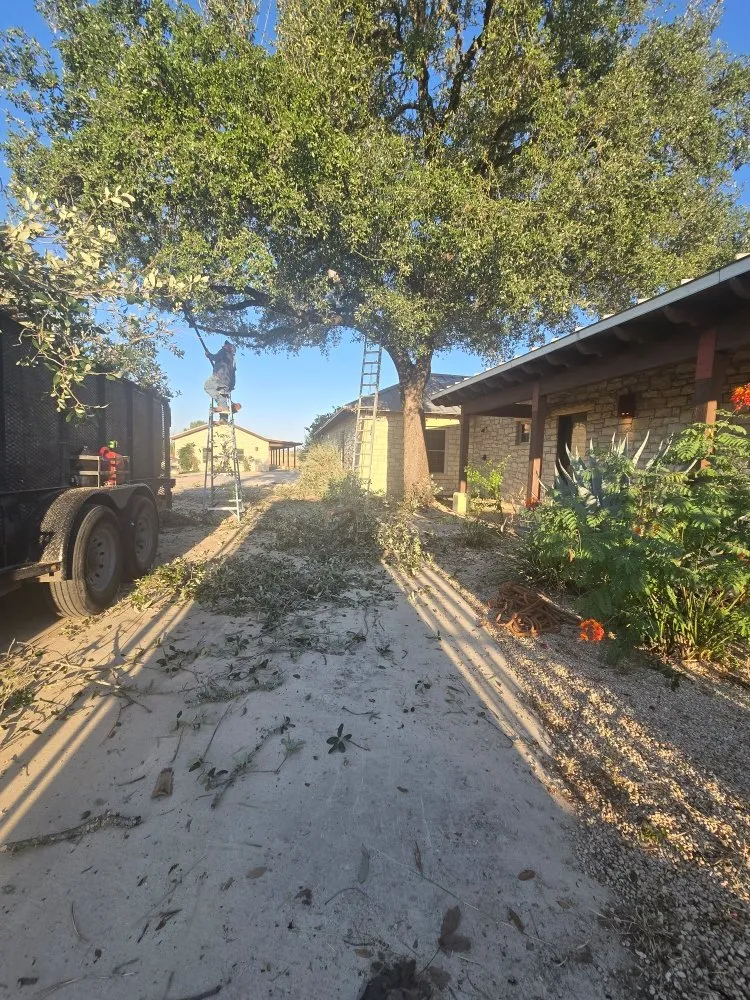 Trusted outdoor landscaping experts serving San Antonio, TX - Hernandez Tree Services