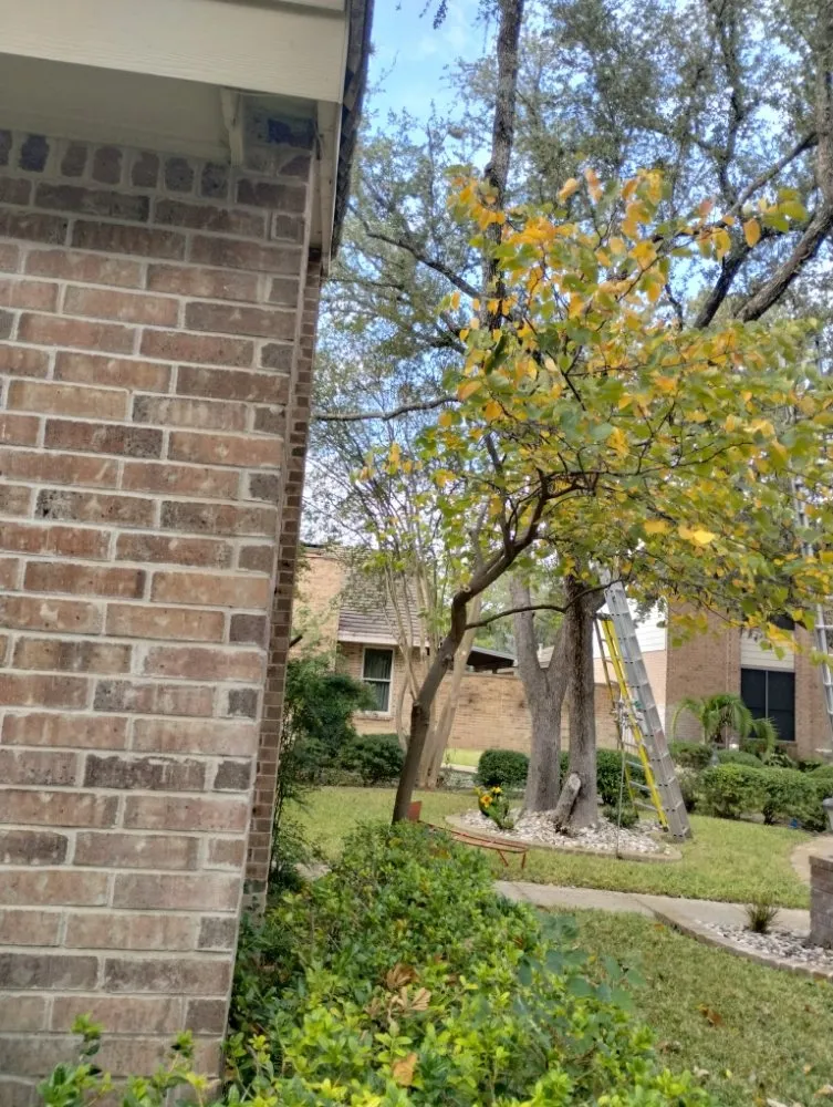 Affordable landscape design near you in San Antonio, TX by Hernandez Tree Services