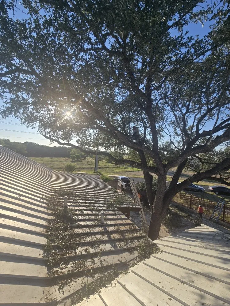 Trusted lawn care service for homes in San Antonio, TX by Hernandez Tree Services